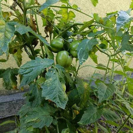 Ruhiges Und Familiaeres In Retzer Weinregion