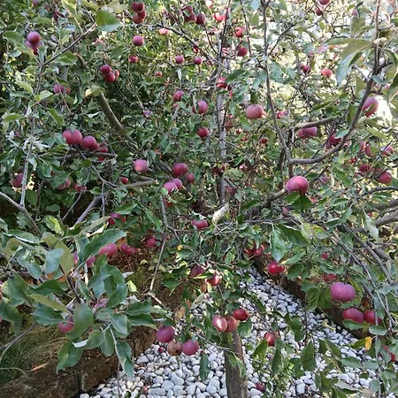 Ruhiges Und Familiaeres In Retzer Weinregion Διαμέρισμα *